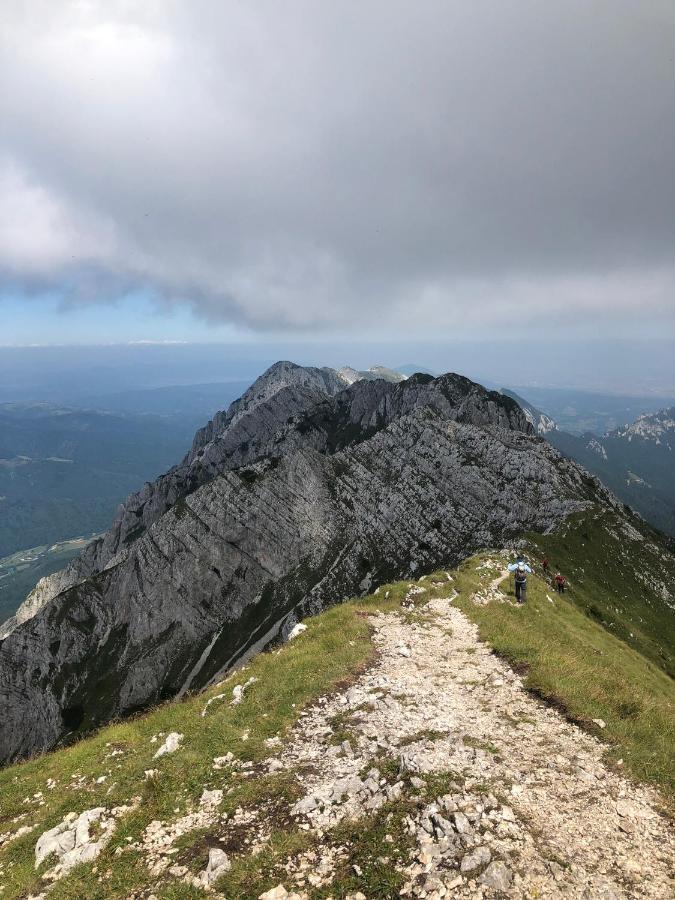 Pensiunea Aliart Zărneşti Buitenkant foto
