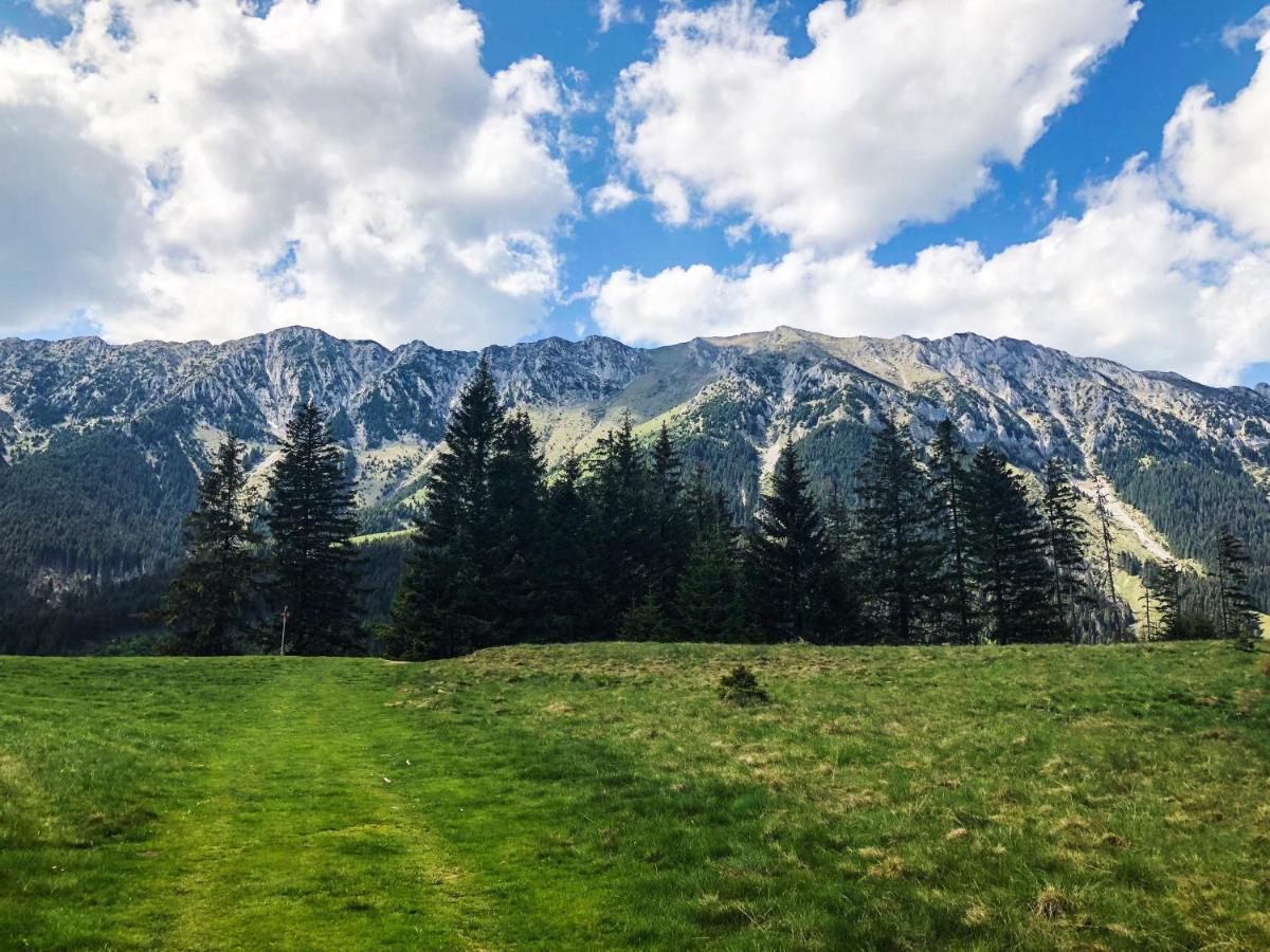 Pensiunea Aliart Zărneşti Buitenkant foto