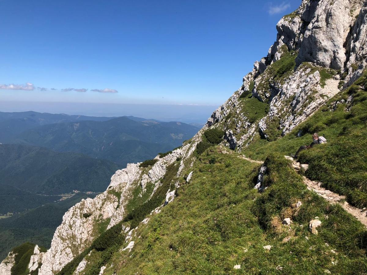 Pensiunea Aliart Zărneşti Buitenkant foto
