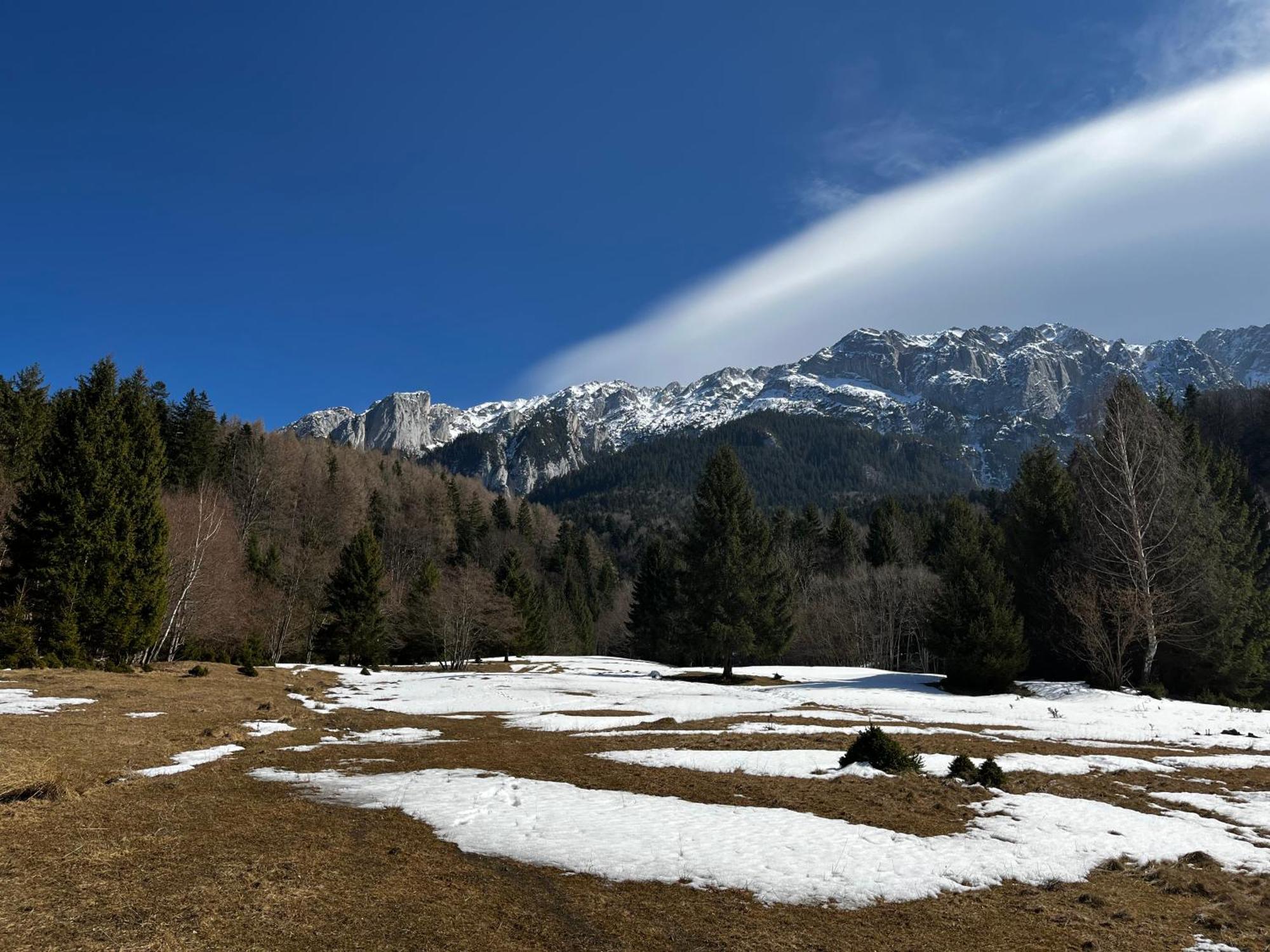 Pensiunea Aliart Zărneşti Buitenkant foto
